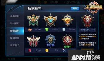 荣耀版最新爆料,颠覆性升级，性能与颜值双提升！