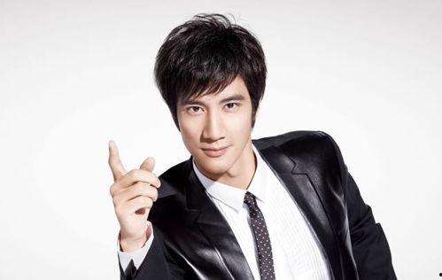 王力宏历年爆料新闻,从辉煌到争议，揭秘他的娱乐圈风云历程