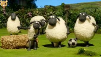 小羊最新爆料视频下载安装,揭秘幕后真相，带你走进事件核心